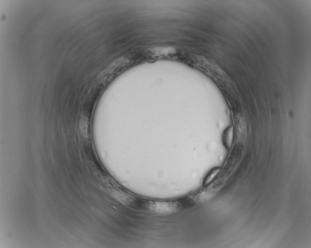 X0000062670565200601181903