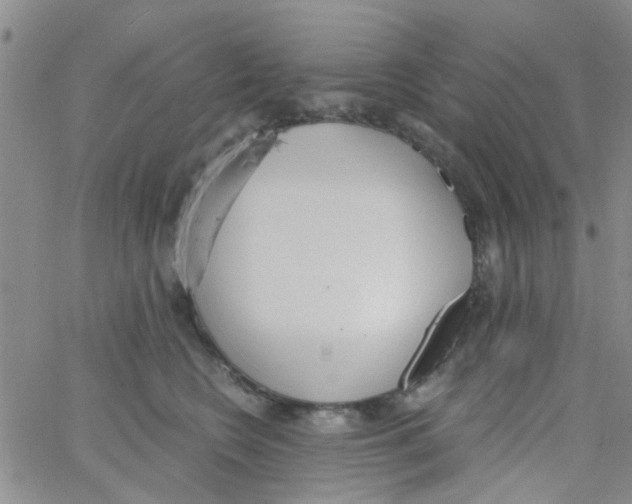 X0000062670566200601181903