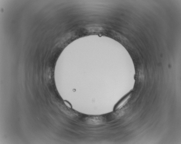 X0000062670567200601181903