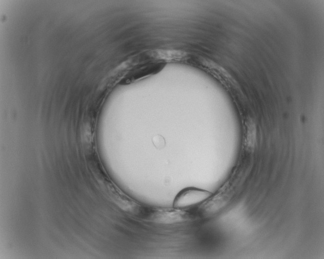 X0000062670569200601181903