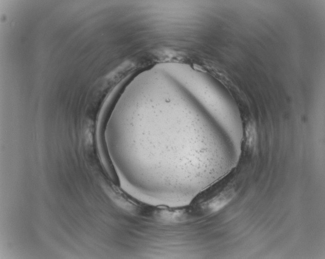 X0000062670570200601181903