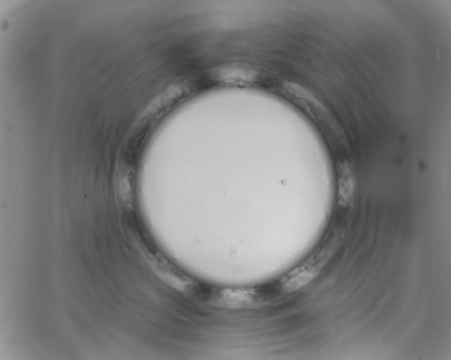 X0000062670573200601181903