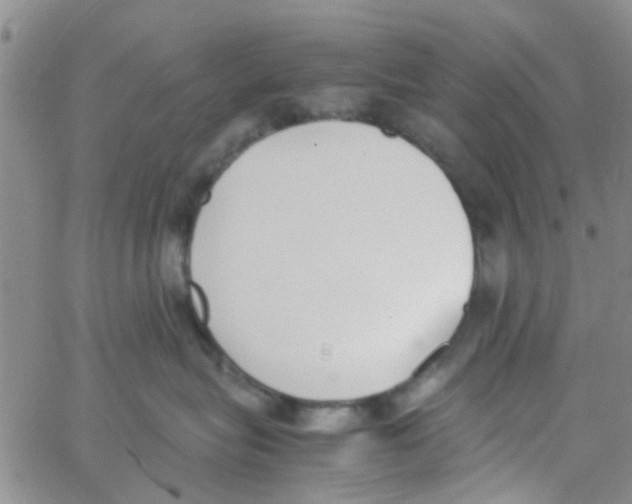 X0000062670575200601181903