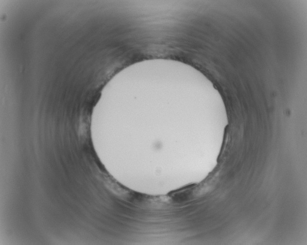 X0000062670576200601181903