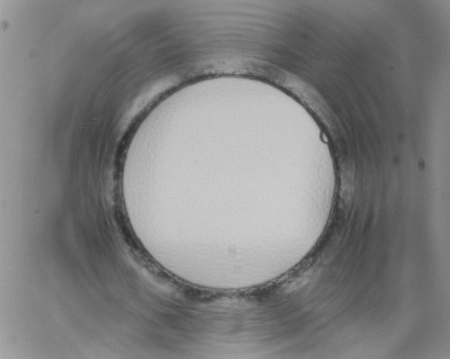 X0000062670578200601181903