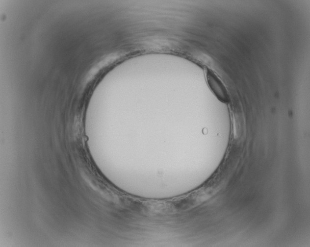 X0000062670579200601181903