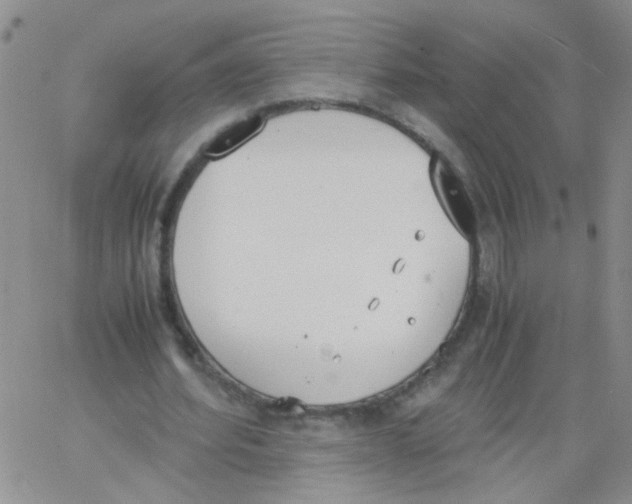 X0000062670580200601181903