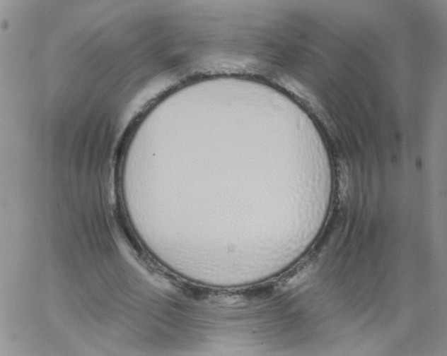 X0000062670582200601181902