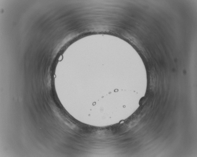 X0000062670584200601181902