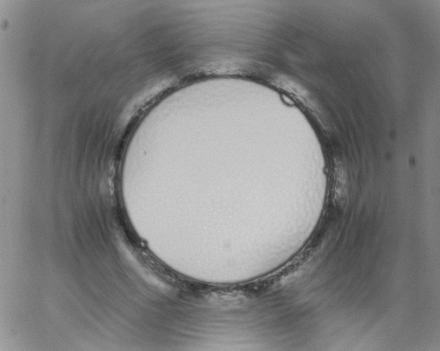 X0000062670586200601181902