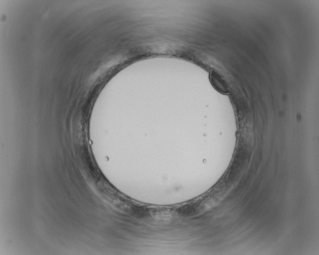 X0000062670587200601181902