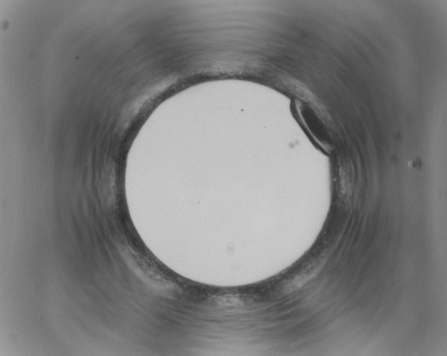 X0000062670588200601181902