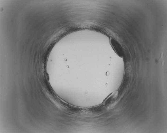 X0000062670589200601181902