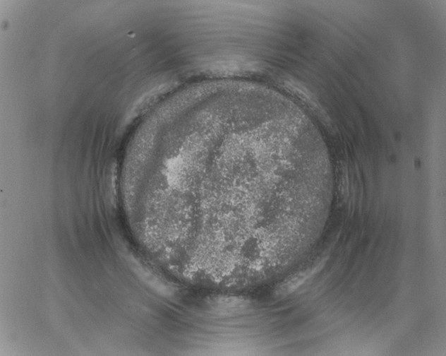 X0000062670590200601181902