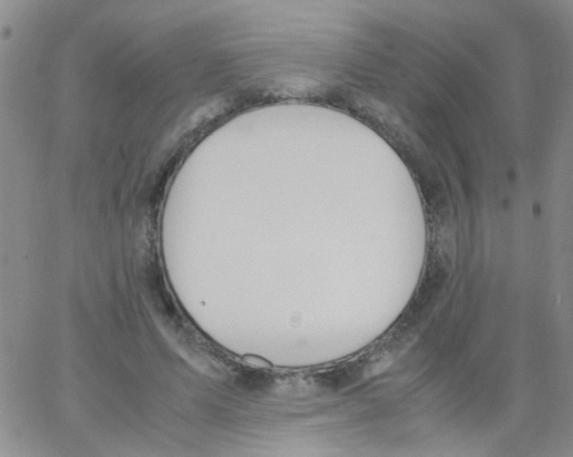 X0000062670591200601181902