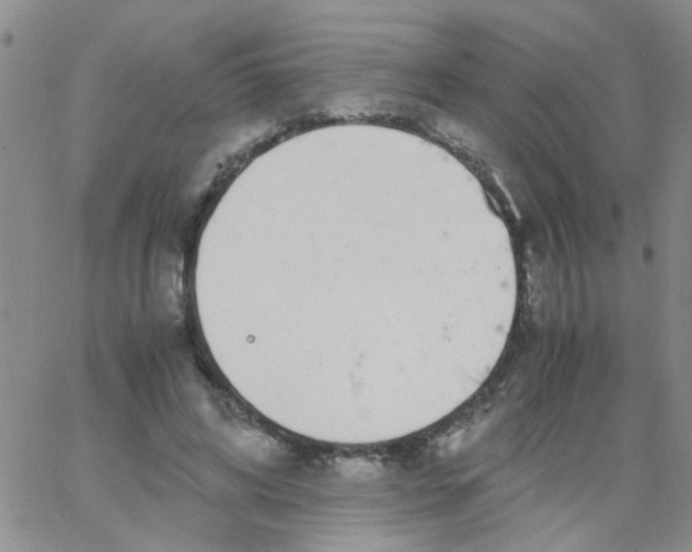 X0000062670592200601181902