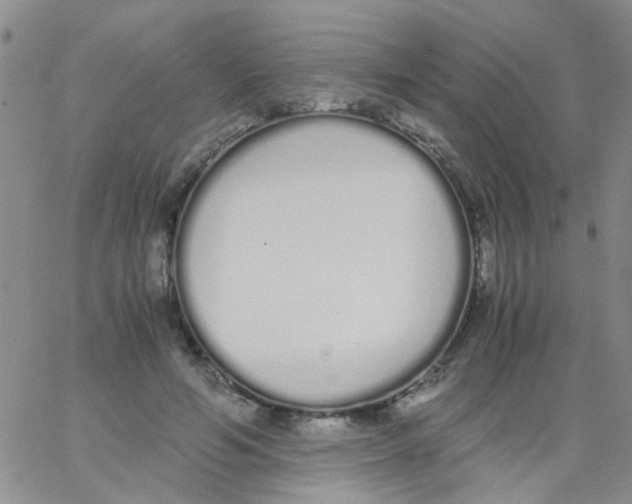 X0000062670594200601181902