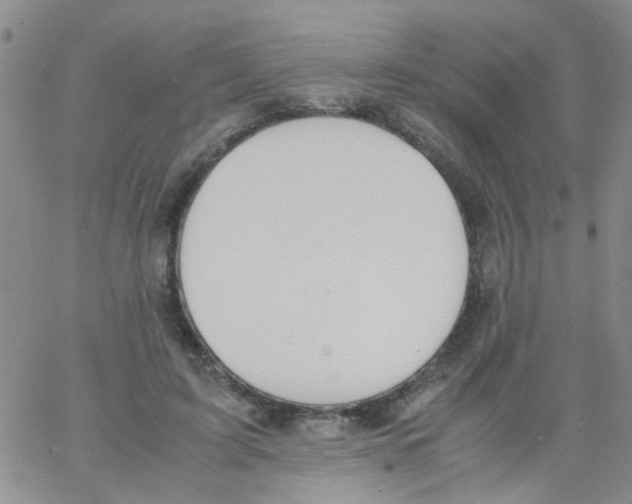 X0000062670595200601181902