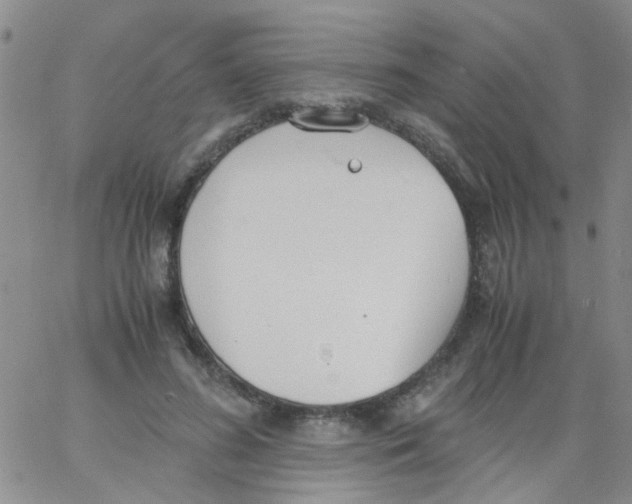 X0000062670596200601181902