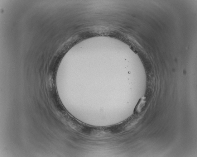 X0000062670597200601181902