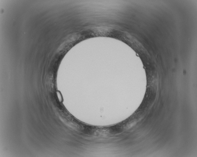 X0000062670599200601181902