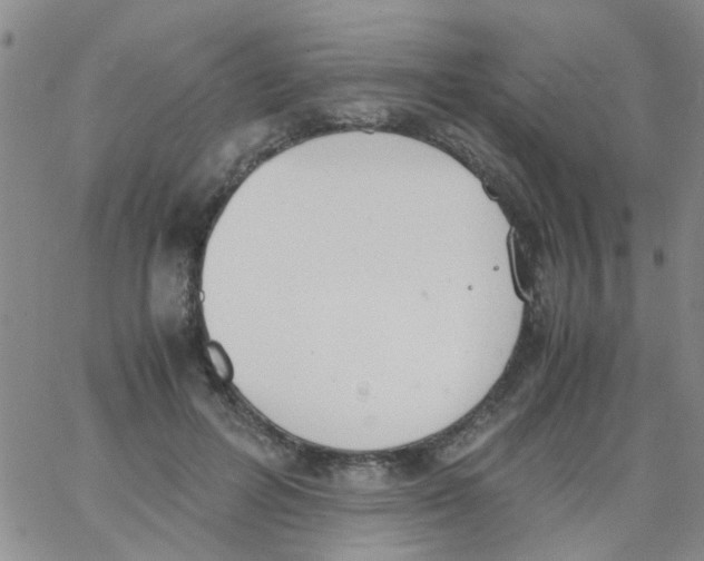 X0000062670600200601181902