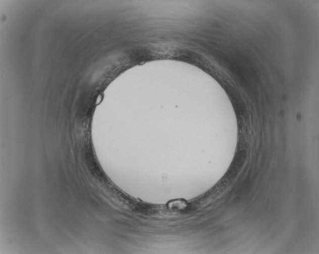 X0000062670601200601181902