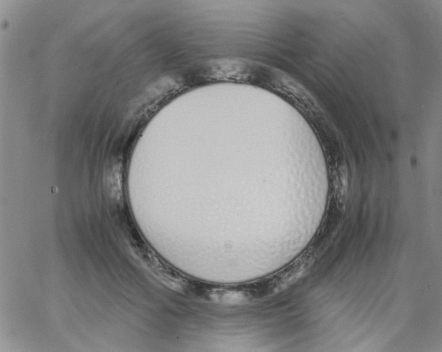 X0000062670602200601181902