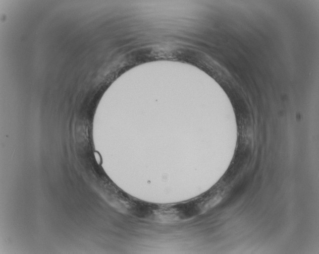 X0000062670603200601181902