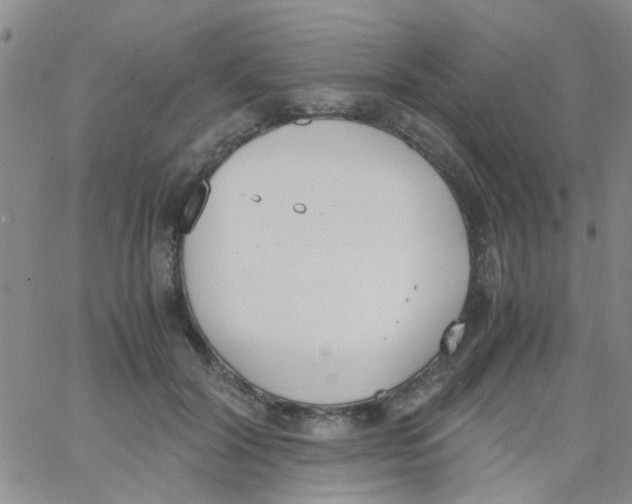 X0000062670604200601181902