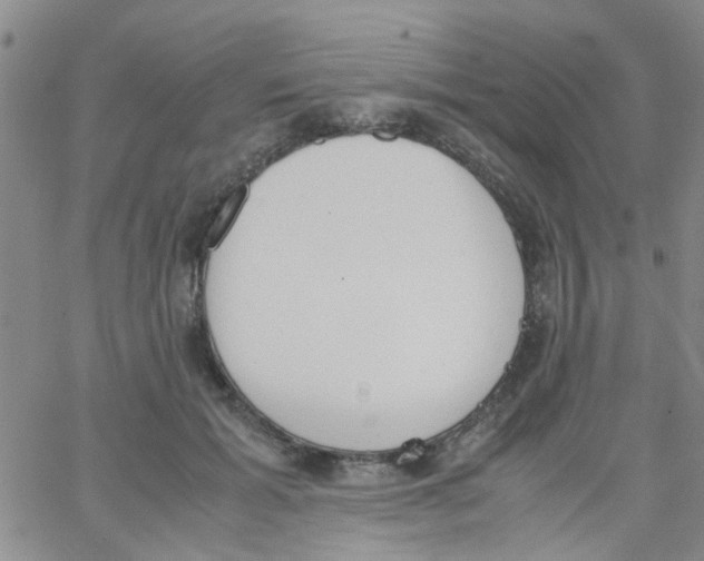 X0000062670605200601181902