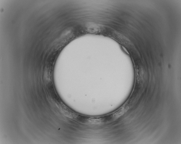 X0000062670606200601181902