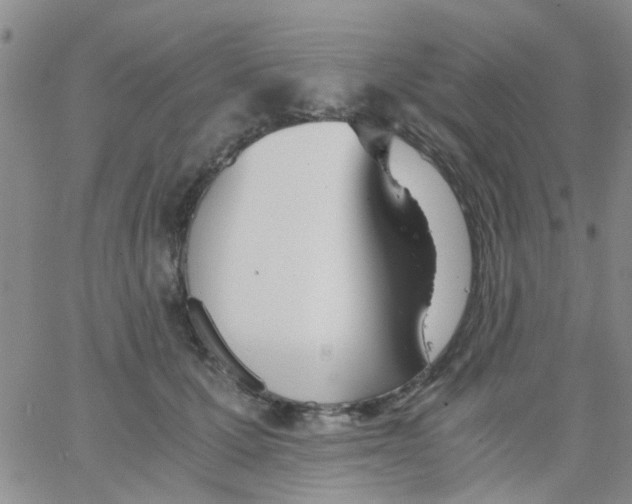 X0000062670607200601181902