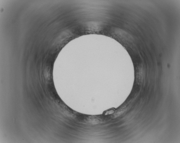 X0000062670608200601181902