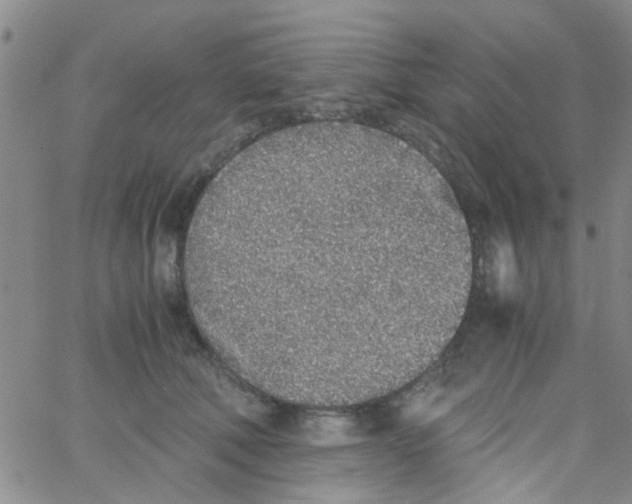 X0000062670610200601181902