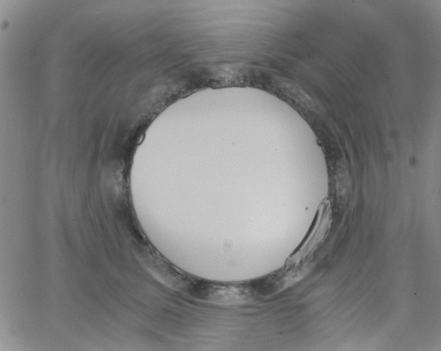 X0000062670611200601181902