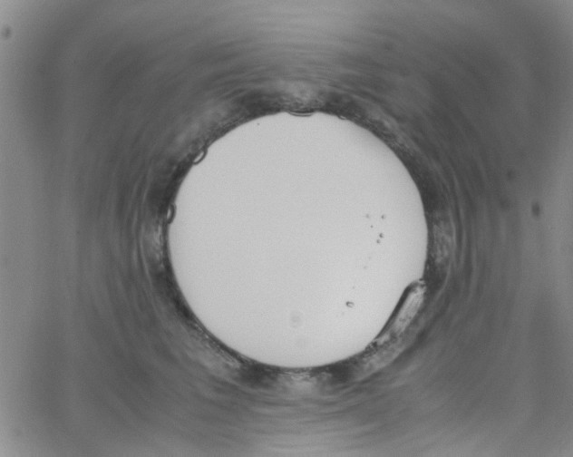 X0000062670613200601181902