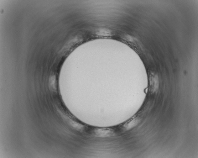 X0000062670614200601181902