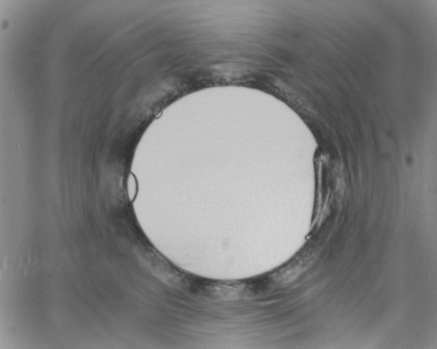 X0000062670615200601181902