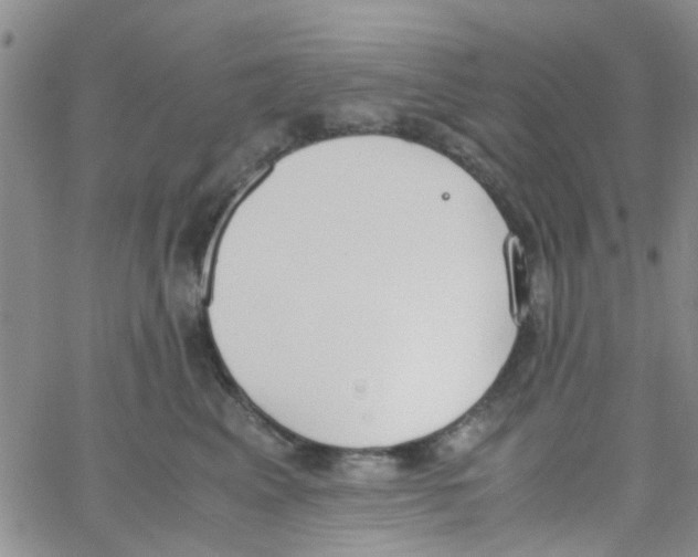 X0000062670617200601181902