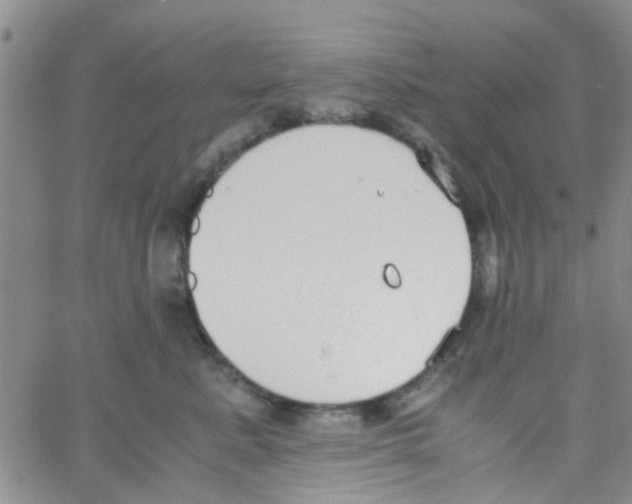 X0000062670619200601181902