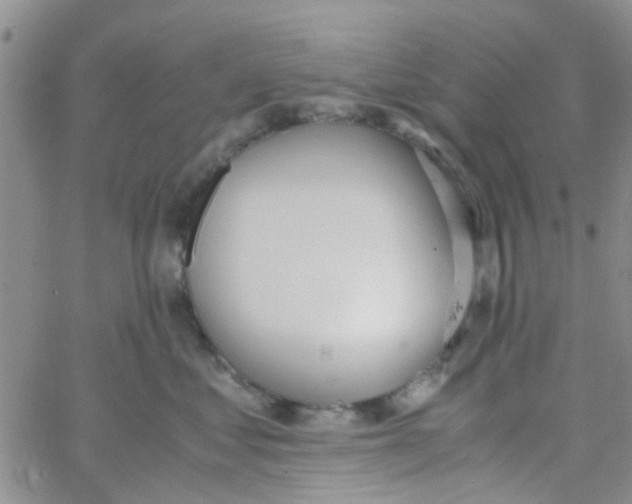 X0000062670621200601181902