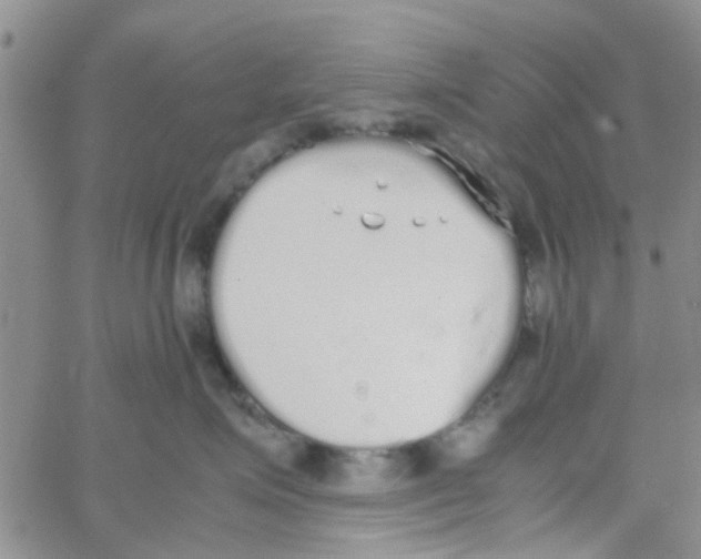 X0000062670623200601181902