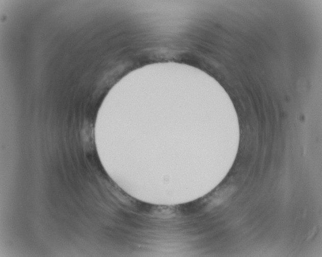 X0000062670624200601181902