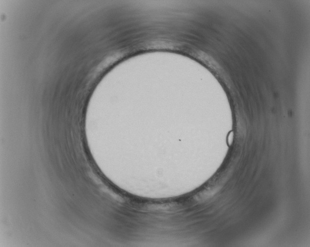 X0000062670625200601181901