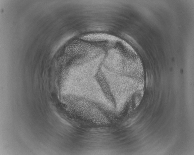 X0000062670627200601181901