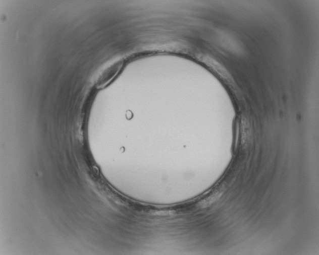 X0000062670628200601181901