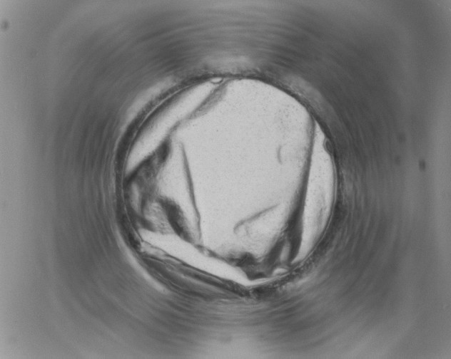 X0000062670630200601181901