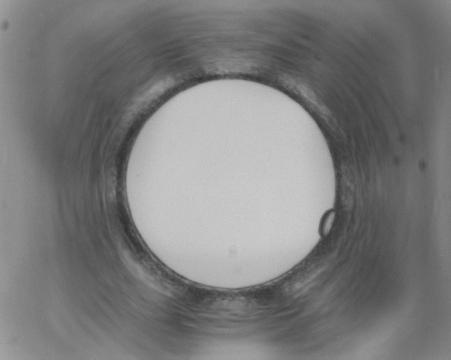 X0000062670631200601181901