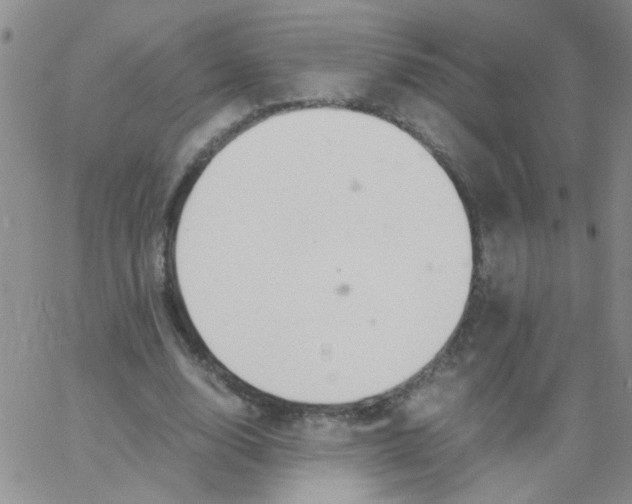 X0000062670632200601181901